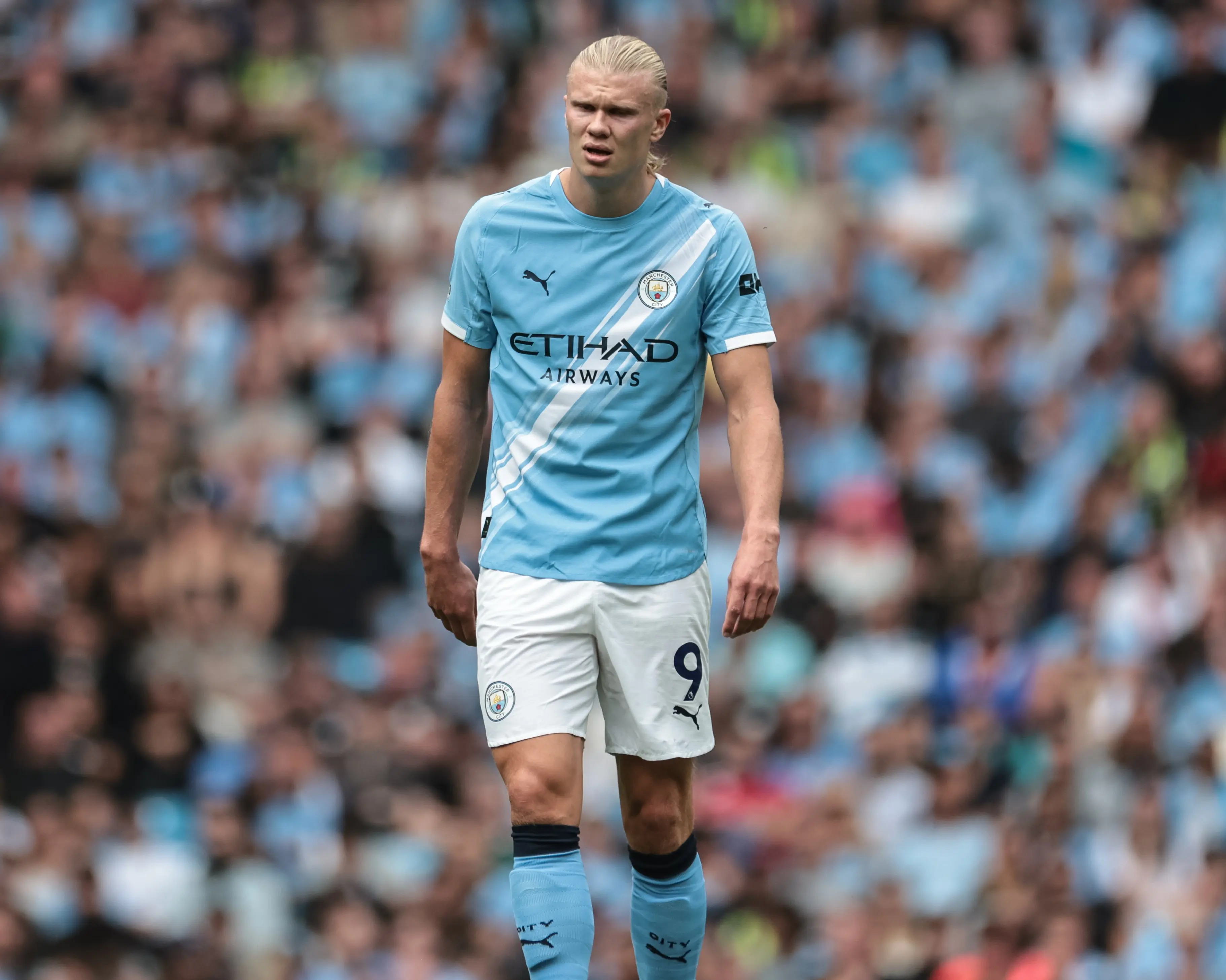 纳反而不会 纳反而不会