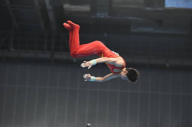 om, 唐多多培养, uWvwt om, 唐多多培养, uWvwt